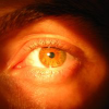 Avatar Lexdu