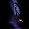 Avatar Louvtow