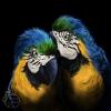 Avatar Elfride