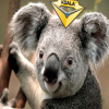 Avatar Victore