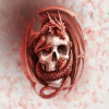 Avatar Radama