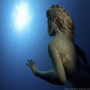Avatar Silphariae