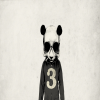 Avatar Madpanda