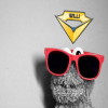 Avatar Willi
