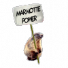 Avatar Mrmarmotte