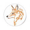 Avatar Crazy_fox