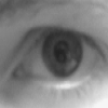 Avatar Kerla