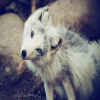 Avatar Daemon35