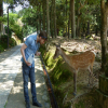 Avatar Mykewolf