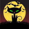 Avatar Chatnoir