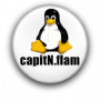 Avatar Capitnflam