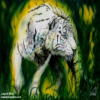 Avatar Whytetiger