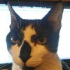 Avatar Sorrow404