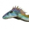 Avatar Aquariusnocamus