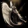 Avatar Gravite