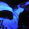 Avatar Losts
