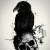 Avatar Corvuscorax