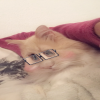 Avatar Natou_