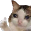 Avatar Sirmelnet
