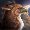 Avatar Griffon-noir
