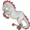Avatar ChDrag