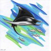 Avatar Mobula