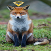 Avatar Renard_