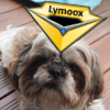 Avatar Lymoox