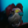 Avatar Cougarhomar
