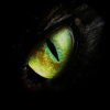 Avatar Fight95