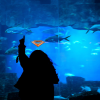 Avatar ProphDa