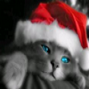 Avatar Glloq168